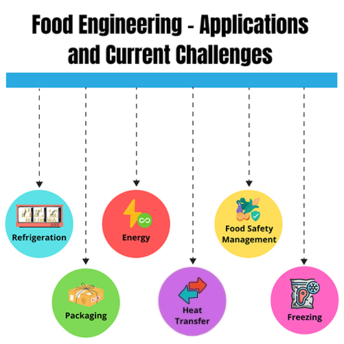 food-engineering