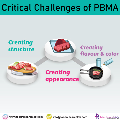 critical-challenges-of-PBMA