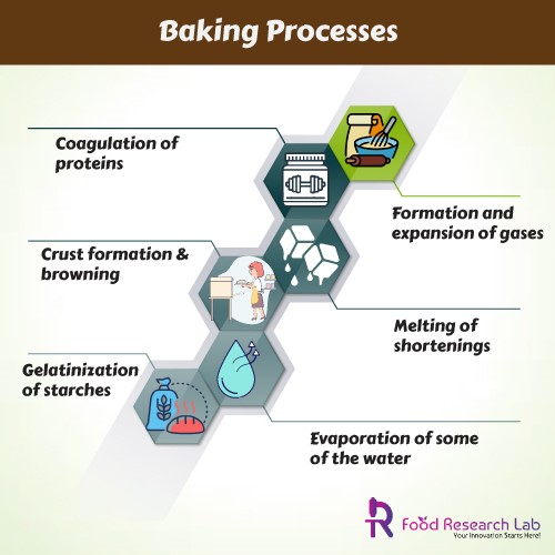 Baker's Percent, Baking Processes