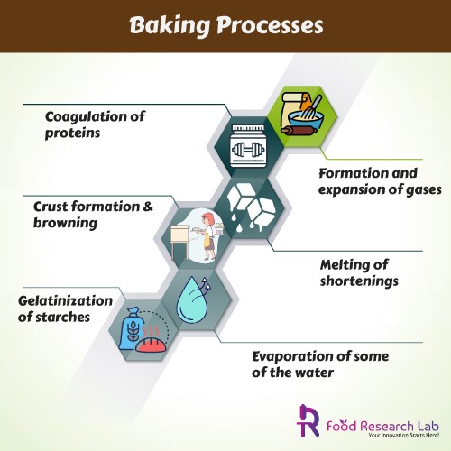 Baking Processes-FRL