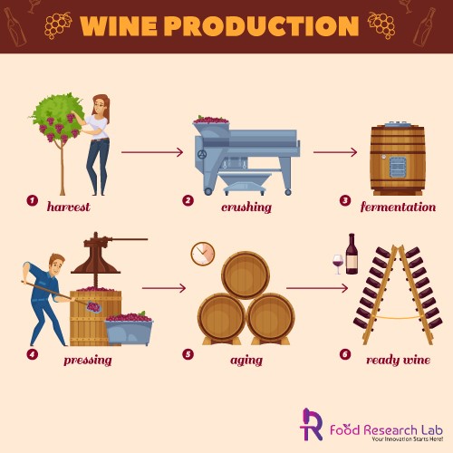 wine production business plan