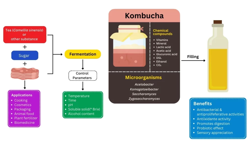 Kombucha Fermented Drink Formulation Blog