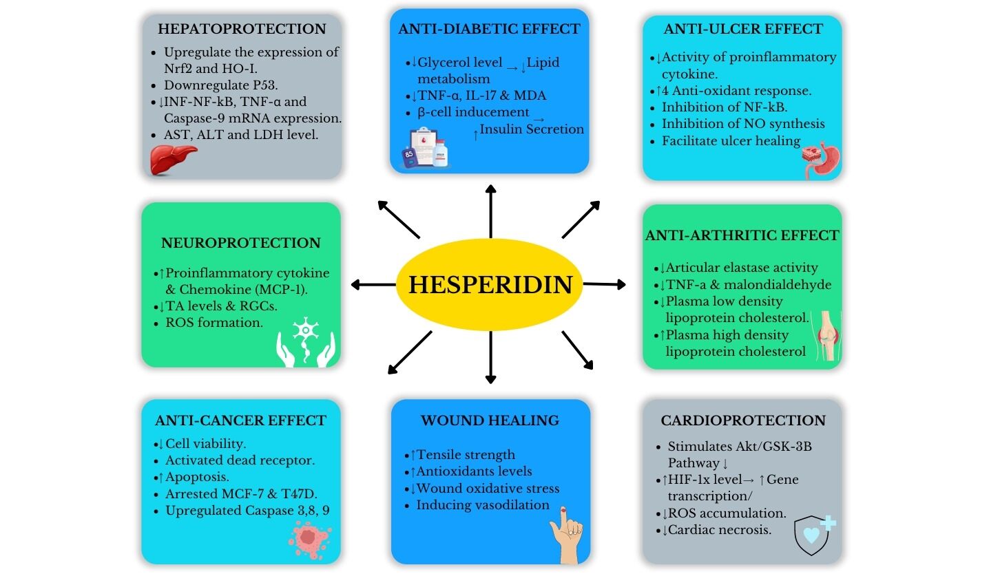 article_regulation