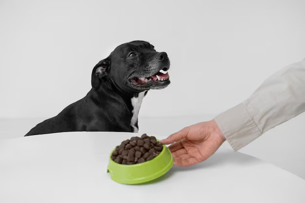 Additional Ingredients in Dog Food