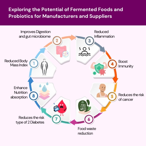 Exploring the Potential of Fermented Foods and Probiotics for Manufacturers and Suppliers