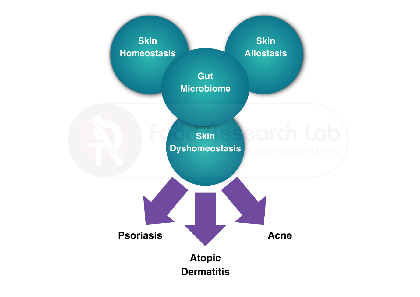 Figure 1: The Gut Microbiome as a Major Regulator of the Gut-Skin Axis