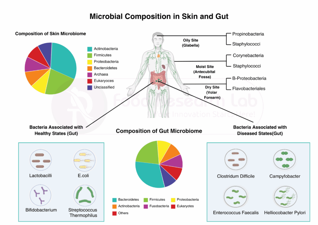 Figure 2: Impact of gut microbiome on skin health